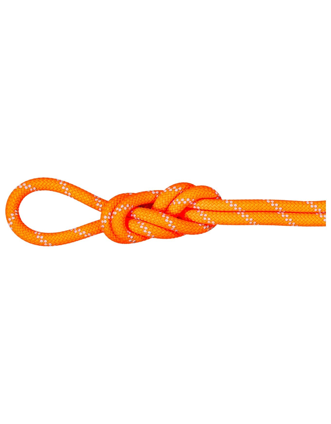9.5 Alpine Dry Rope Vibrant Orange/Zen