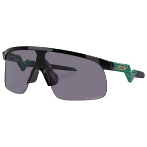 Resistor Black Prizm Grey