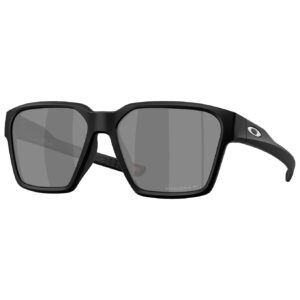 Briza Matte Black/Prizm Black Polar