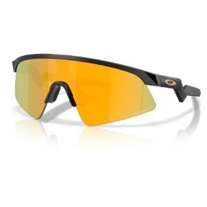 Resistor Sweep Matte Black/Prizm 24K