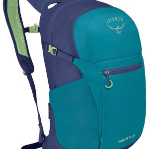 Daylite Plus Blue Spikemoss/Alkaline