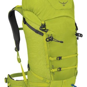 Mutant 38 Lemongrass