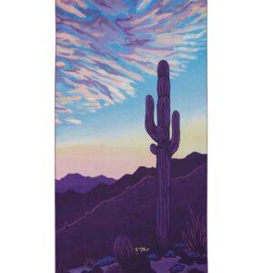 Personal Desert Aire