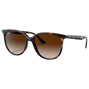 RB4378 Polished Havana Gradient Brown