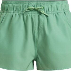 Roxy Wave 2 Inch Boardshorts Basil