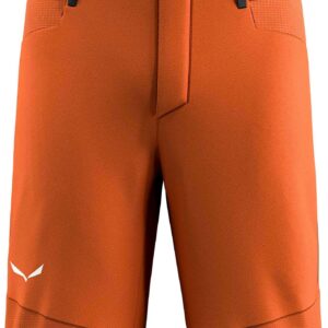 Agner Dst M Shorts Bombay Brown