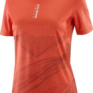 S/Lab Ultra Tee Aop W Burnt Sienna/Decadent Chocolate