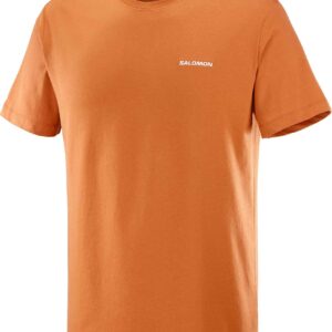 Salomon Logo Tee M Sierra