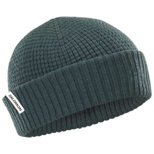 Docker Beanie Green Gables