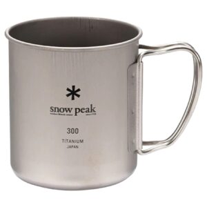 Titanium Single Wall 300 Mug Silver
