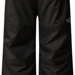 B Freedom Insulated Pant TNF Black