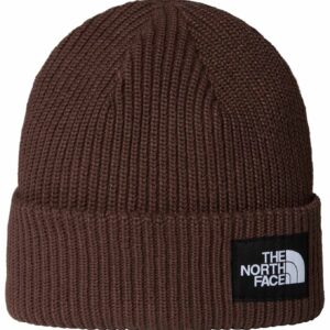 Salty Lined Beanie Smokey Brown