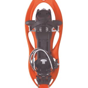 305 Elevation Halloween