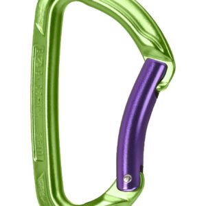 Session Bent Gate Green/Purple