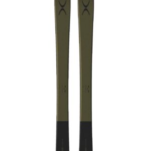 XO H31 Tuscani Olive 2025