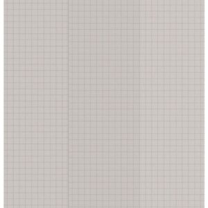 Tenacious® Tape Silnylon Patches