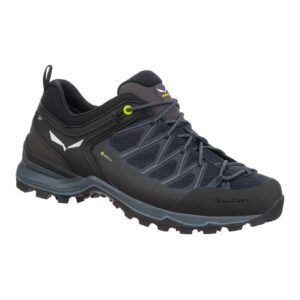 Ms Mtn Trainer Lite GTX Black
