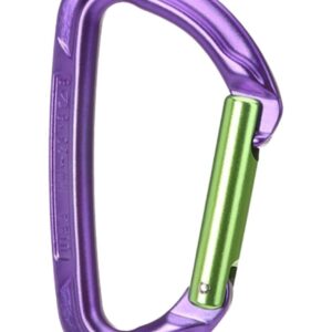 Session Straight Gate Purple/Green