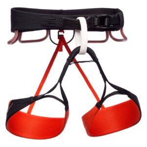 Zone Harness W Octane